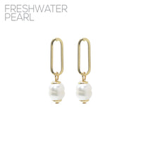 Link Freshwater Pearl Drop Earrings - Gold