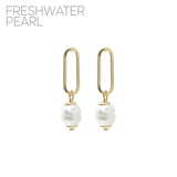 Link Freshwater Pearl Drop Earrings - Gold
