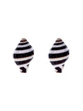 Beach Conch Sea Shell Natural Black and White Stud Earrings