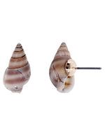 Beach Conch Sea Shell Tiny Natural Stud Earrings